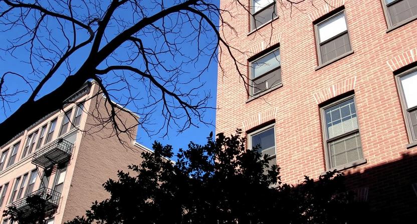 What Happens When a New York Tenant Dies